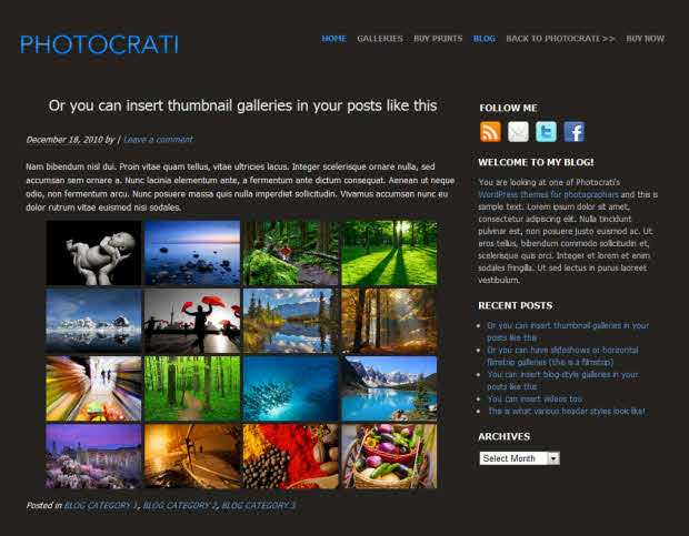 Photocrati Theme