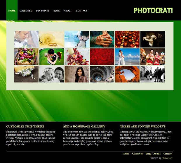 Photocrati WordPress Theme